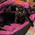files/gato-3.png